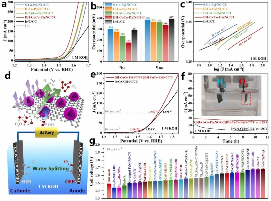 催化頂刊集錦：AFM、ACS Catalysis、Appl. Catal. B.、CEJ、Small、JMCA等成果