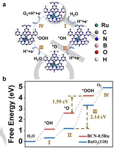 南科大?李輝等Angew：BCN-0.5Ru高效催化酸性O(shè)ER