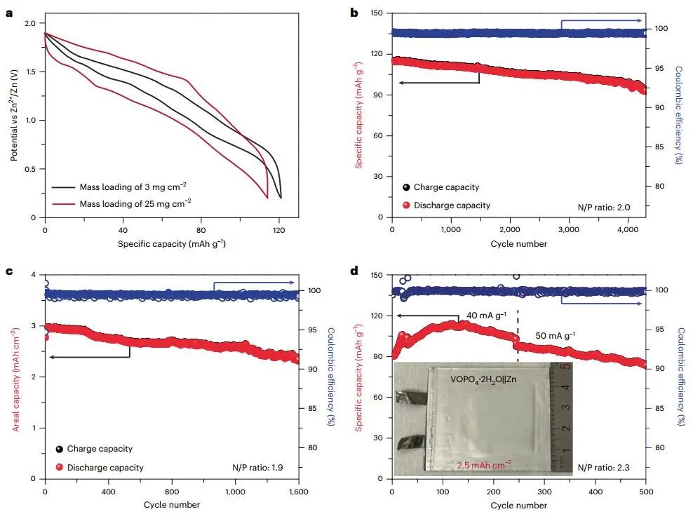 紀(jì)秀磊等Nature Sustainability：CE近100%！可充電水系ZMBs新突破