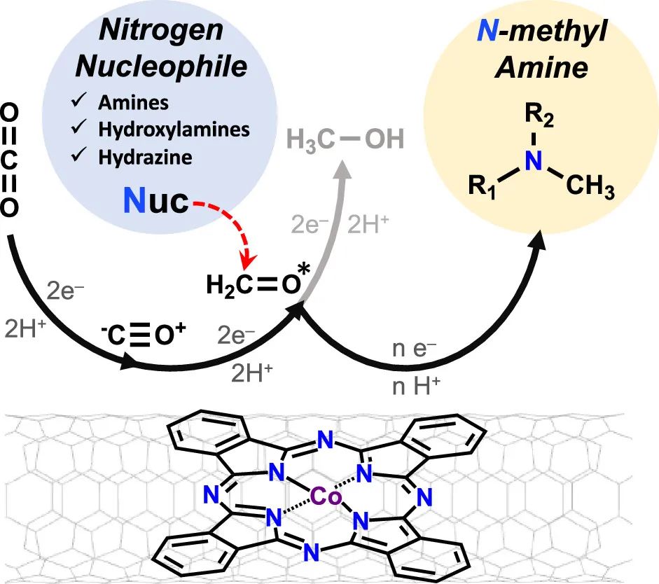 耶魯王海梁JACS：分子催化劑催化CO2電化學(xué)還原N-甲基化