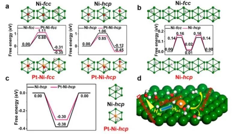 8篇催化頂刊：JACS、Nano Lett.、ACS Catal.、AM/Adv. Sci.、Small等最新成果