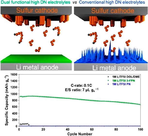 ACS Energy Lett.：貧電解液條件下用于鋰硫電池的雙功能高給體電解液