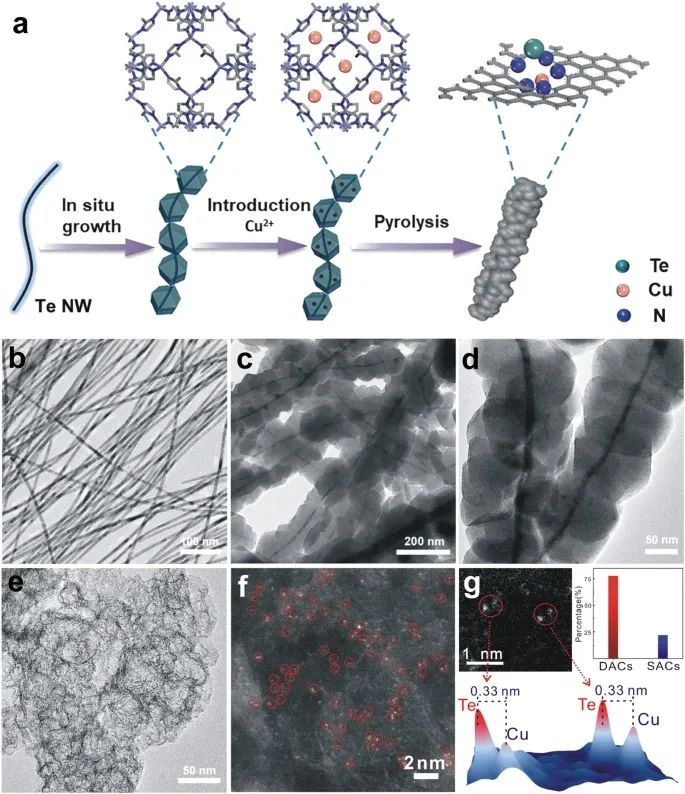 雙原子電催化，最新Nature子刊！