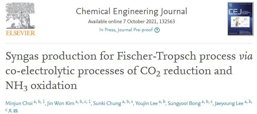 Chem. Eng. J.：新工藝！CO2RR耦合AOR用于生產(chǎn)合成氣