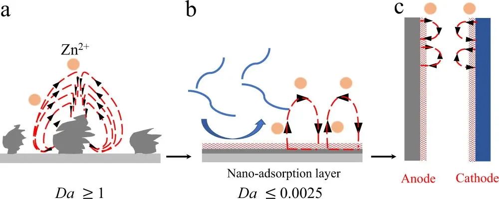 大牛Archer教授Nature子刊: 通過離子-低聚物界面實現(xiàn)快充水系鋅電池！