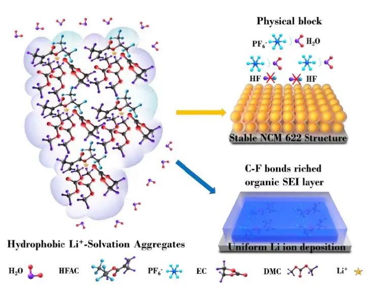 湖大馬建民Angew：添加劑促使疏水鋰離子溶劑化結(jié)構(gòu)，成功抑制LiPF6水解！