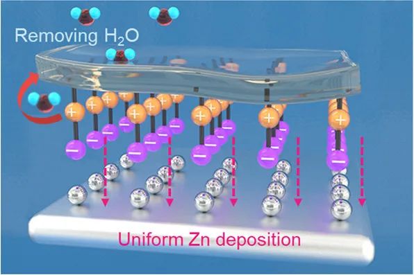 麥立強(qiáng)/徐林ACS Energy Lett.: 兩性離子雙功能層，實(shí)現(xiàn)2600小時(shí)鍍鋅/剝離！