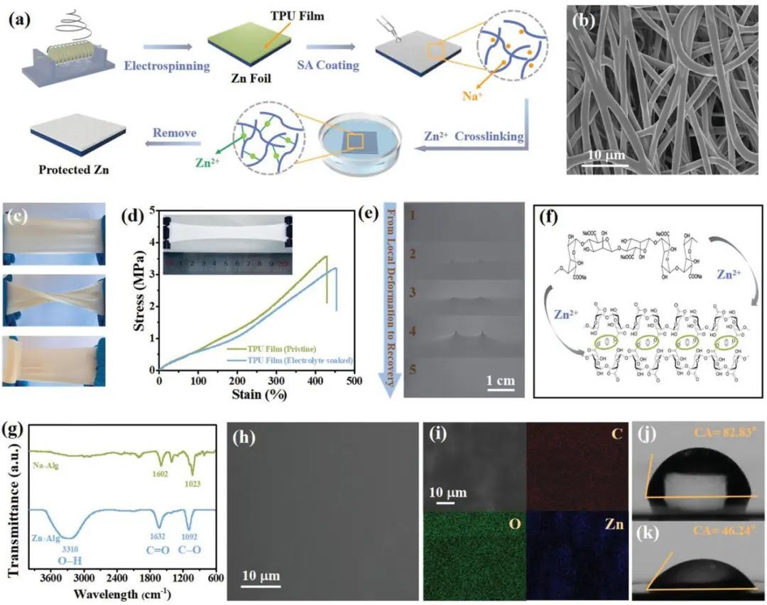 電池日報(bào)|| 8篇頂刊！EES、Sci. Adv.、AEM、AFM、ACS Nano、EnSM等成果