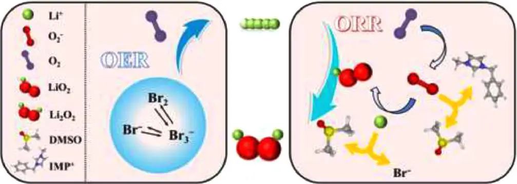 陳人杰/陳楠EnSM: 溴化咪唑作為可充電鋰氧電池的三功能添加劑