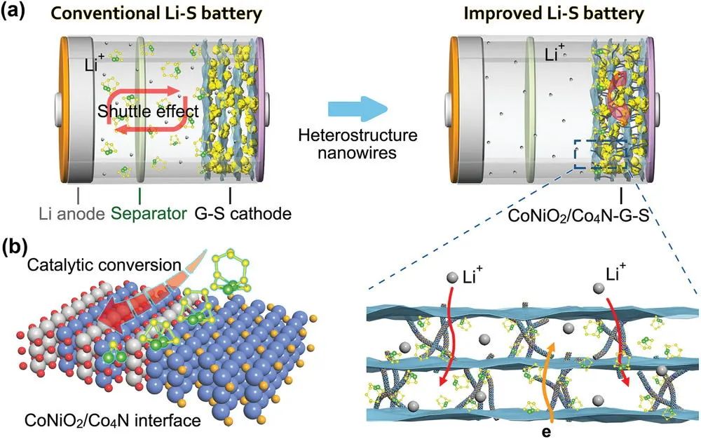 洪果/姚亞剛Adv. Sci.: CoNiO2/Co4N異質(zhì)納米線增強鋰硫電池性能