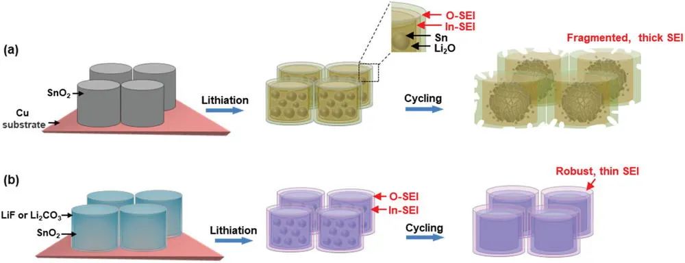 胡仁宗Small Methods：SnO2負(fù)極上不均勻雙層SEI膜的多尺度觀察