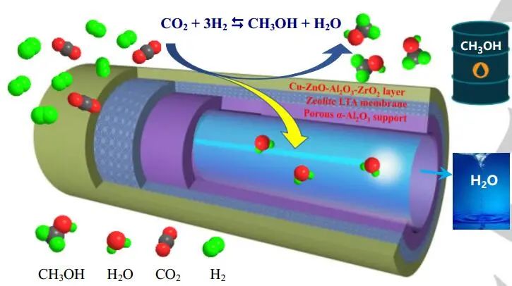 最新催化匯總：3篇Angew.、2篇JACS、2篇Nano Lett.和1篇Science子刊