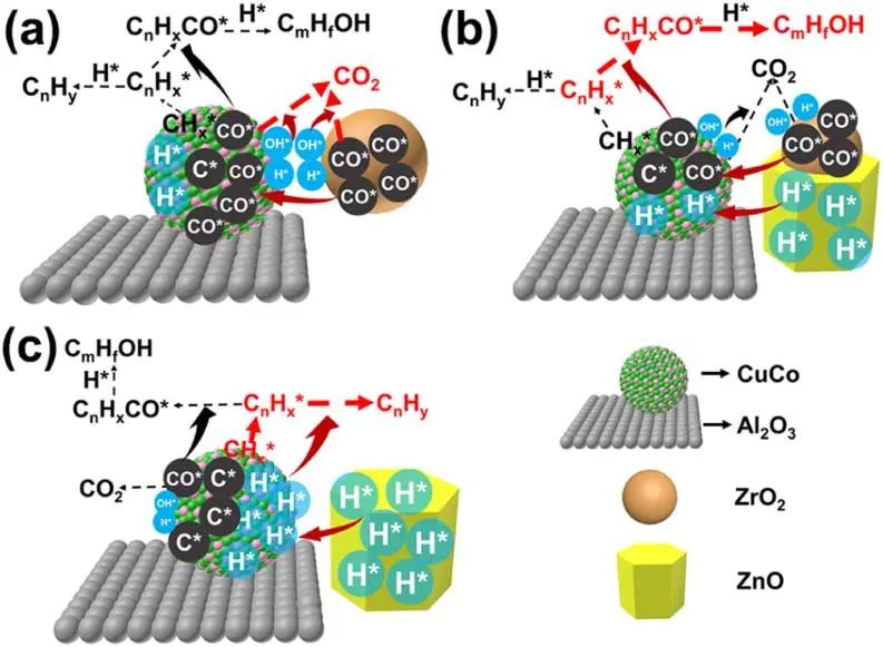 8篇催化頂刊集錦：JACS、AM、ACS Energy Lett.、Nano Lett.等最新成果