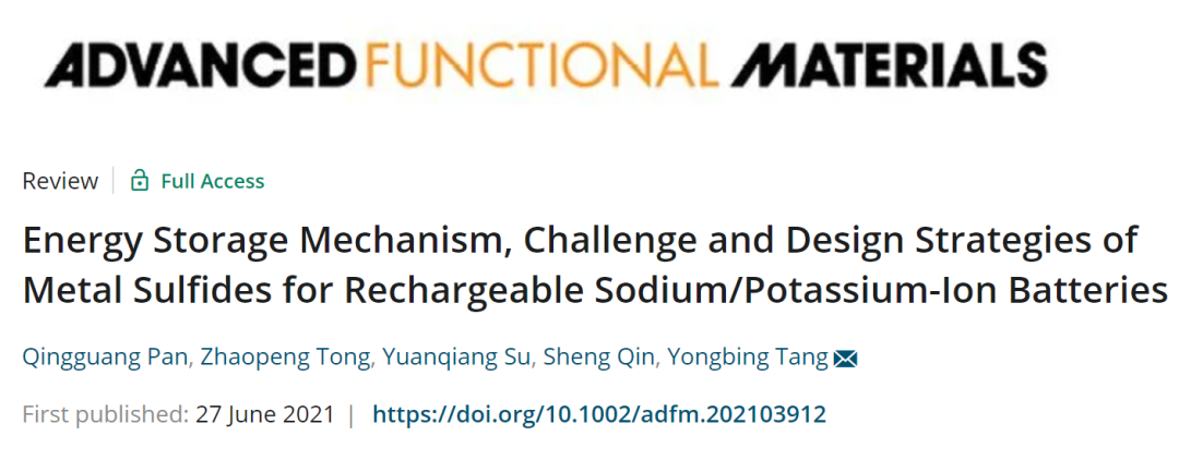 ?中科院唐永炳AFM: 可充電鈉/鉀電中金屬硫化物的儲(chǔ)能機(jī)理、挑戰(zhàn)及設(shè)計(jì)策略