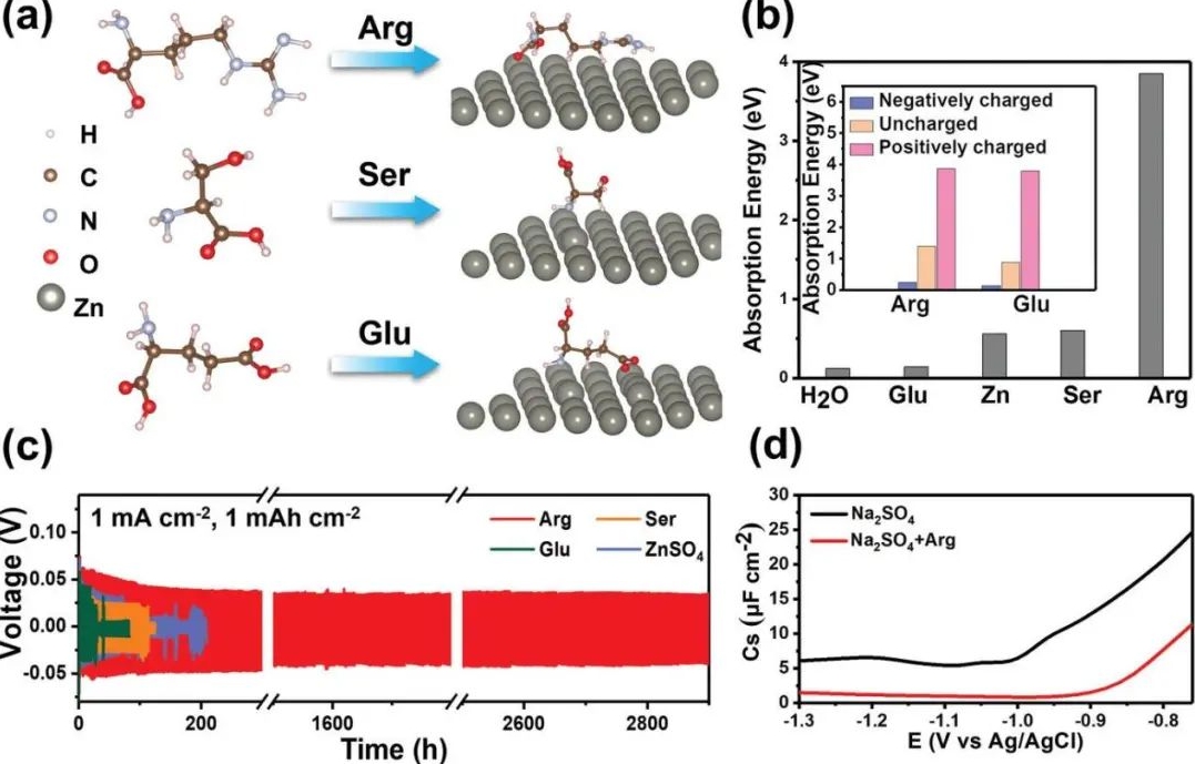 電池頂刊集錦：EES、AEM、AFM、Adv. Sci.、EnSM、Small等最新成果