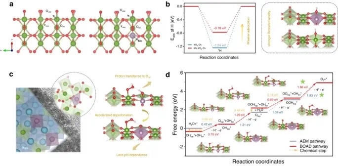 【計(jì)算+實(shí)驗(yàn)】Nature子刊：定向表面重構(gòu)-助力酸性水氧化！