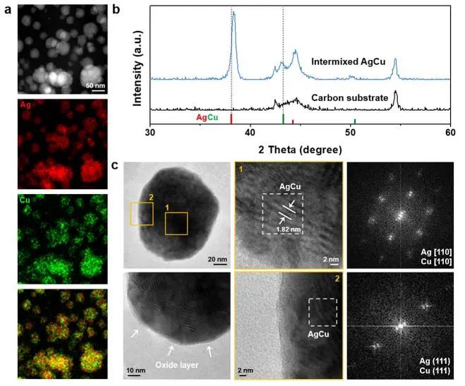 ?催化頂刊集錦：Nature子刊、Angew.、AFM、ACS Nano、Small等成果