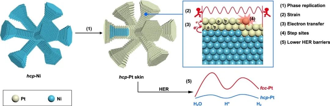 催化頂刊合集：Nature子刊、Angew、AFM、ACS Nano、ACB、Nano Lett等成果！