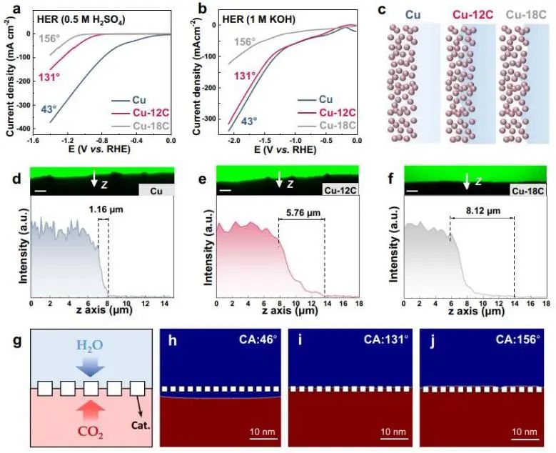 催化頂刊集錦：Nature子刊、JACS、Angew.、AFM、Nano Letters、ACS Catal.等成果