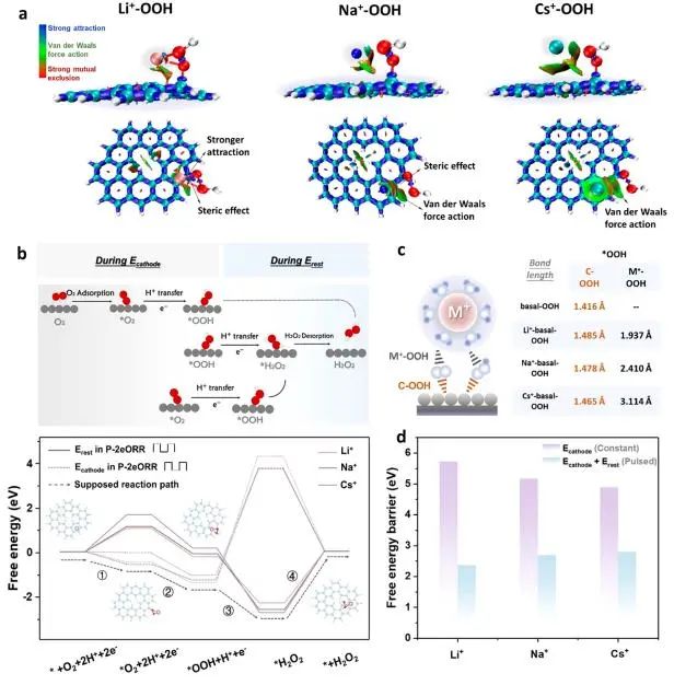 催化頂刊集錦：Nature子刊、JACS、ACS Nano、ACS Energy Lett.、AFM、NML等成果