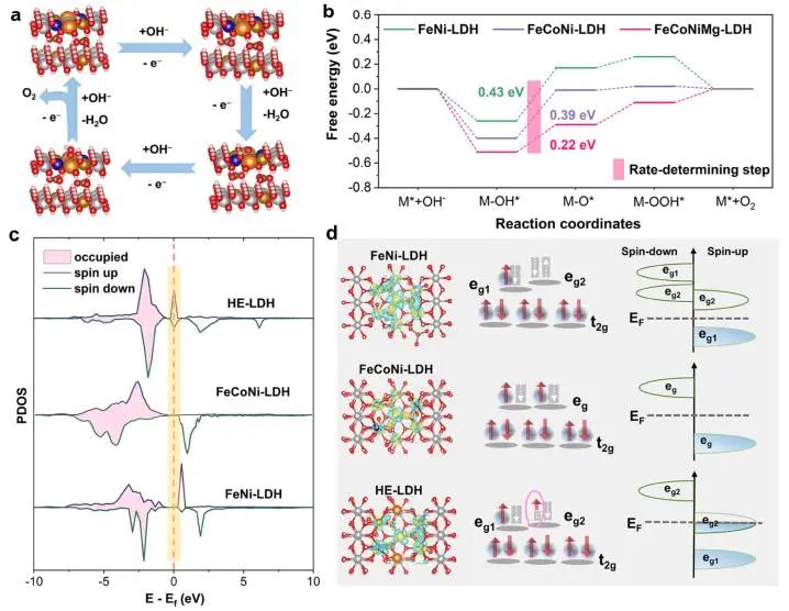 吳仁兵/潘洪革ACS Catalysis：摻雜惰性Mg，構建高熵層狀氫氧化物以提升析氧反應的活性/穩(wěn)定性