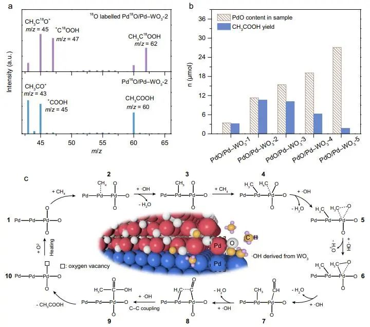 ?催化頂刊集錦：JACS、Nature子刊、EES、ACS Catal.、AFM、ACS Nano等