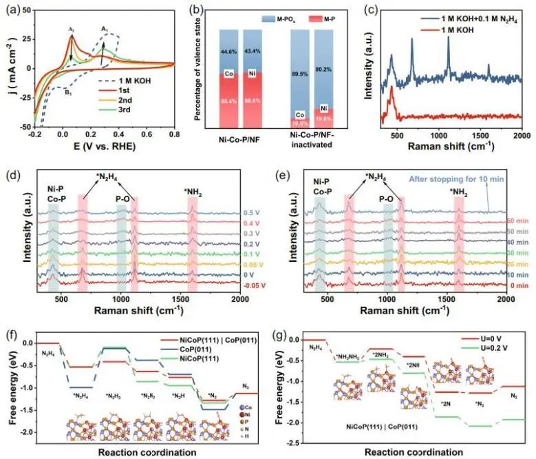 催化頂刊集錦：Nature子刊、Angew.、AEM、ACS Catalysis、Small等成果