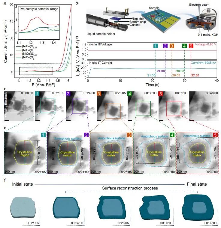 催化頂刊集錦：Nature子刊、Angew.、AEM、ACS Catalysis、Small等成果