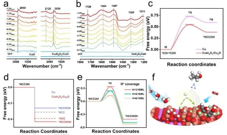 催化頂刊集錦：Nature子刊、Angew.、AEM、ACS Catalysis、Small等成果