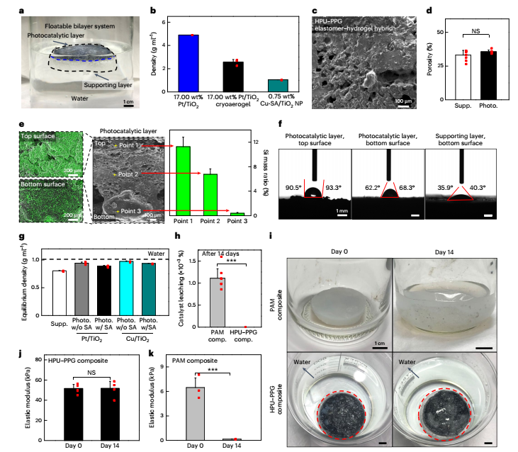 Nature Nanotechnology里程碑突破！光催化產(chǎn)氫，實(shí)現(xiàn)大規(guī)模應(yīng)用！