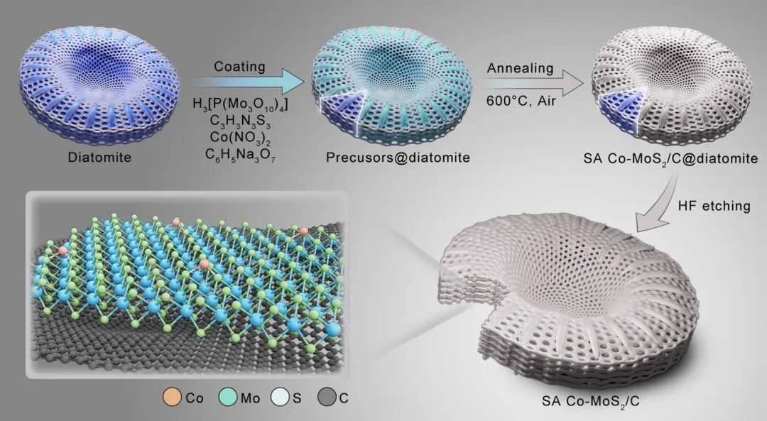 武漢大學史建平AM：硅藻土模板合成單原子鈷摻雜MoS2/碳，實現(xiàn)高性能儲鈉