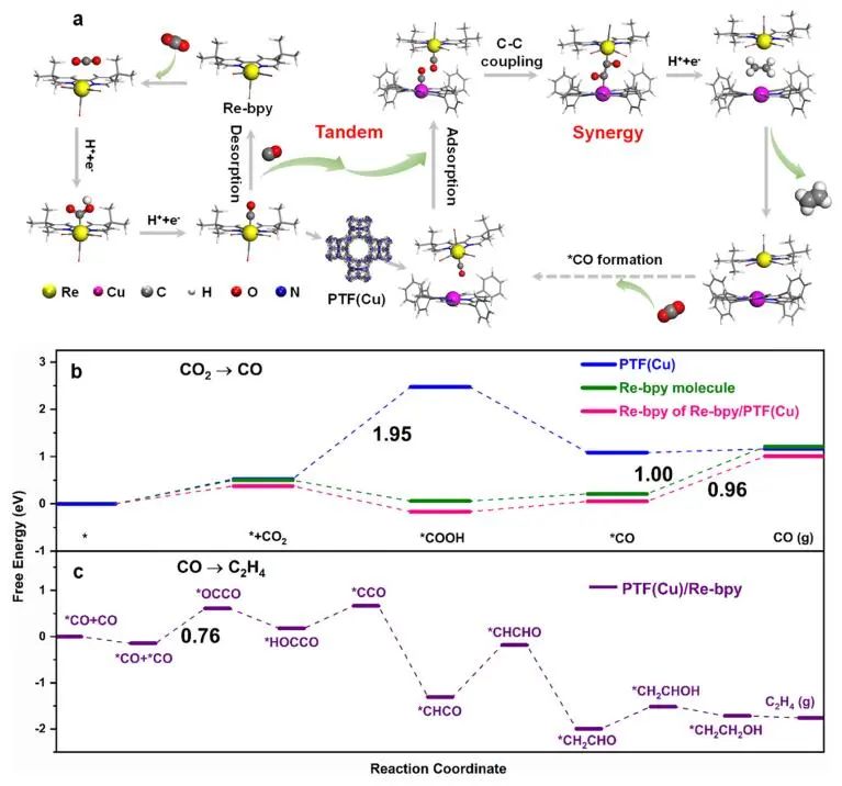 JACS：Re-bpy/PTF(Cu)協(xié)同催化CO2制備C2H4