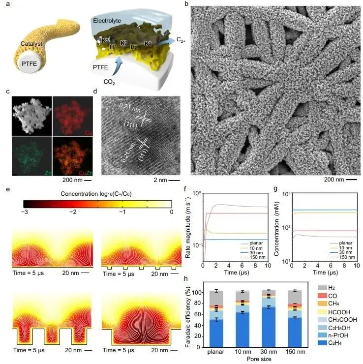 催化頂刊集錦：Nature子刊.、Angew.、JACS、ACS Catalysis、AFM、Small等成果