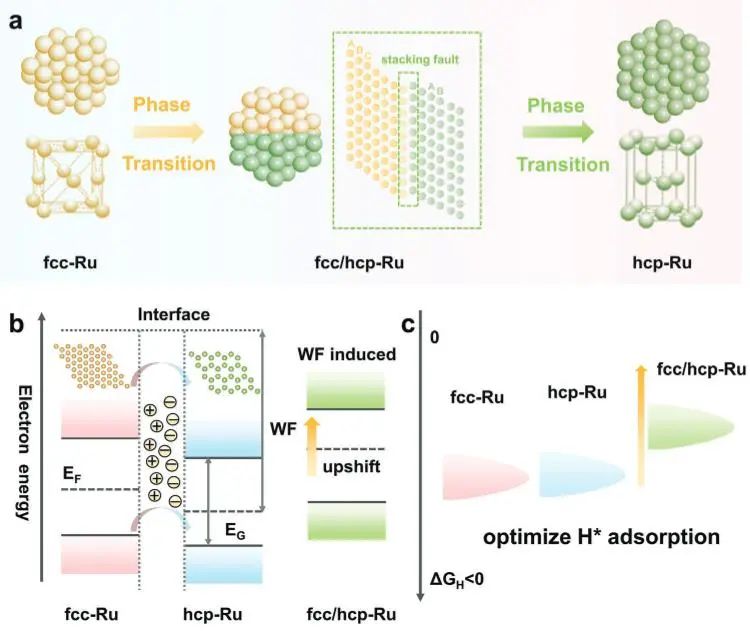 催化頂刊集錦：Nature子刊、JACS、EES、AM、AFM、Nano Letters等成果