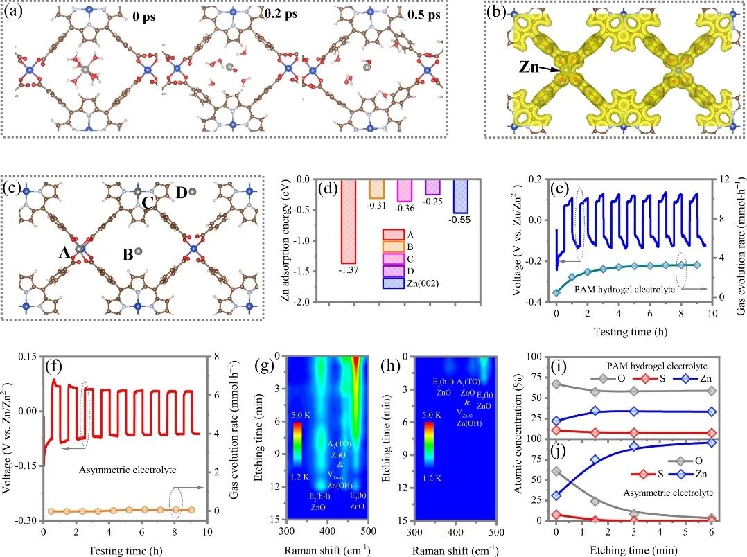 支春義教授團隊，最新Nature子刊！