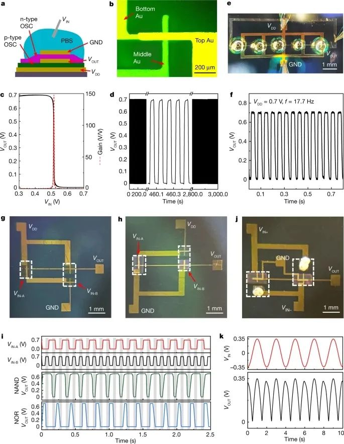 電子科技大學，2023年首篇Nature！