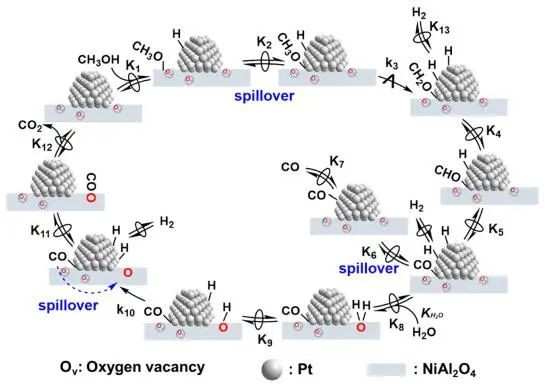 催化頂刊集錦：JACS、Nat. Commun.、AFM、ACS Catal.、Adv. Sci.、Small等