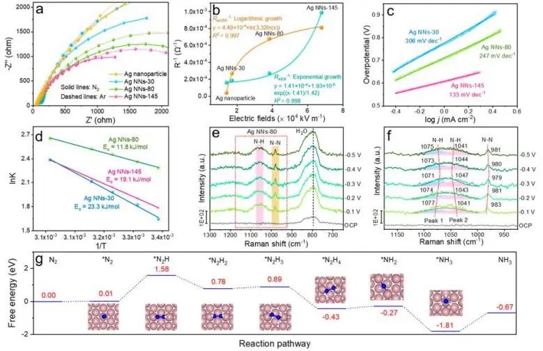 ?中南/慕尼黑大學(xué)ACS Nano：Ag納米針陣列高效電催化N2轉(zhuǎn)化為NH3