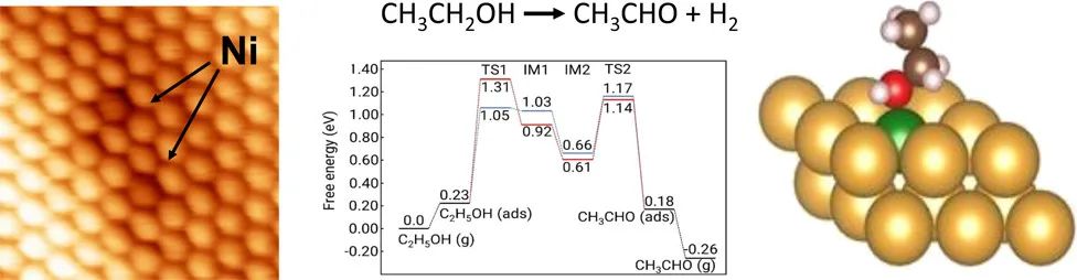 JACS：研究NiAu單原子合金催化乙醇脫氫的機(jī)理和電子學(xué)