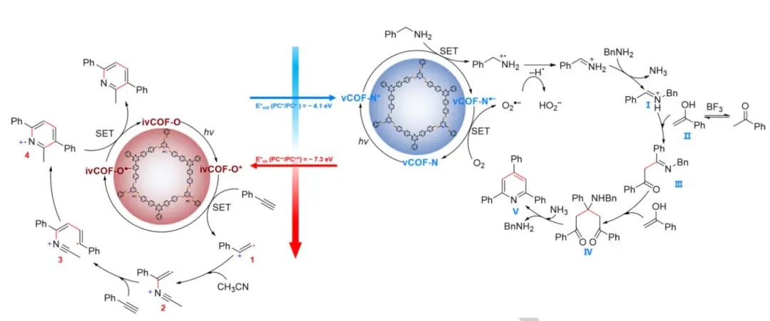 上交張帆Angew.：含雜原子嵌段的乙烯鍵等電子結(jié)構(gòu)COFs用于光催化氧化還原