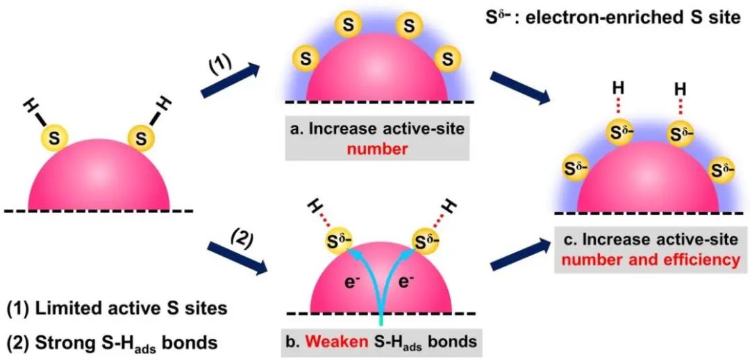 余家國/余火根AM：優(yōu)化富硫NiS1+x助催化劑的原子氫脫附促進(jìn)光催化析氫