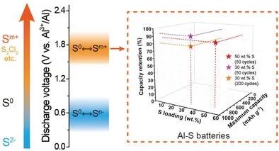 尉海軍/張旭AFM: 基于功能性高分子膜保護(hù)實現(xiàn)的高壓穩(wěn)定鋁硫電池