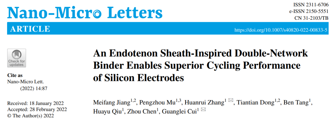 崔光磊/張煥瑞NML: 受內(nèi)膜鞘啟發(fā)的仿生粘結(jié)劑實(shí)現(xiàn)硅負(fù)極的出色循環(huán)