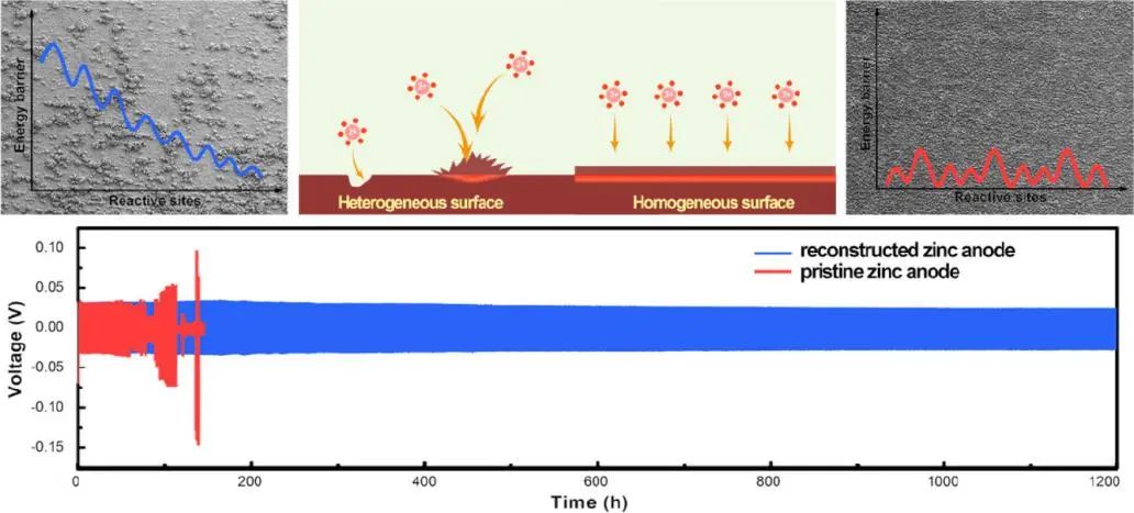 王海燕/張旗EnSM: 電化學(xué)界面重建以消除無枝晶鋅負(fù)極的表面異質(zhì)性