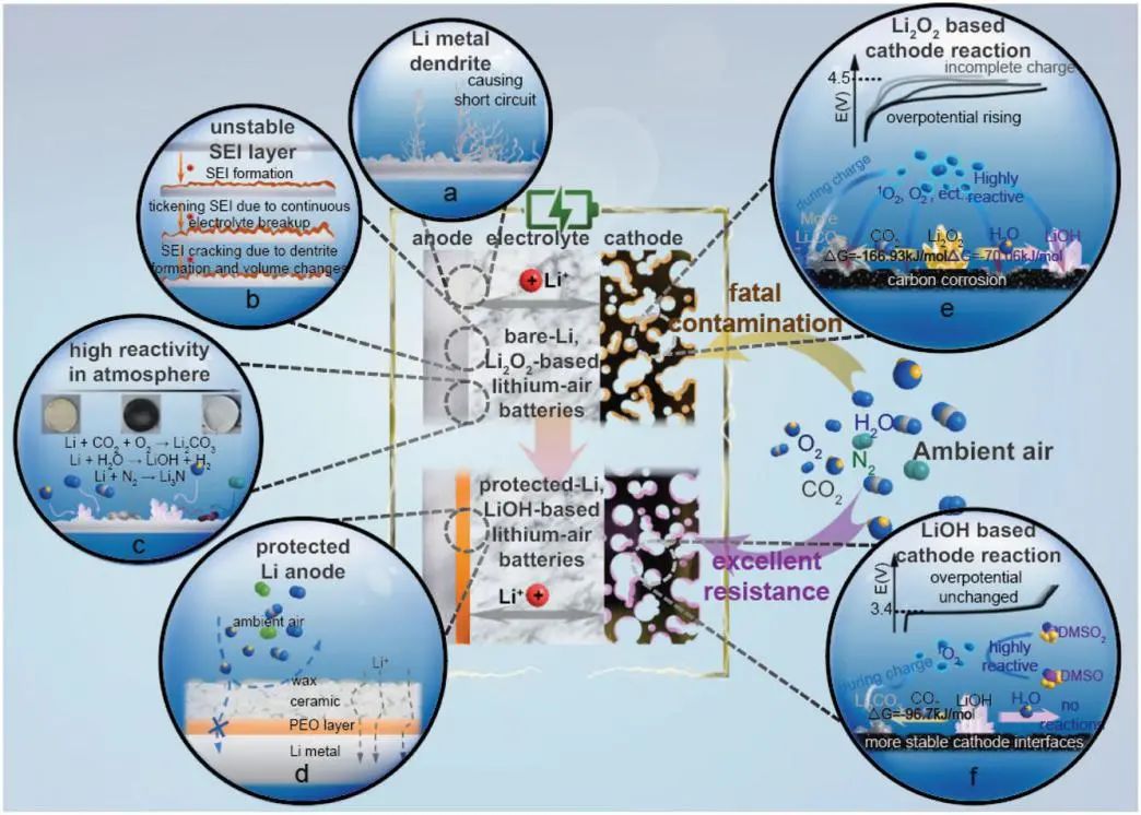 東南&同濟Adv. Sci.: 防水鋰負(fù)極+LiOH正極=長壽命高能鋰空氣電池