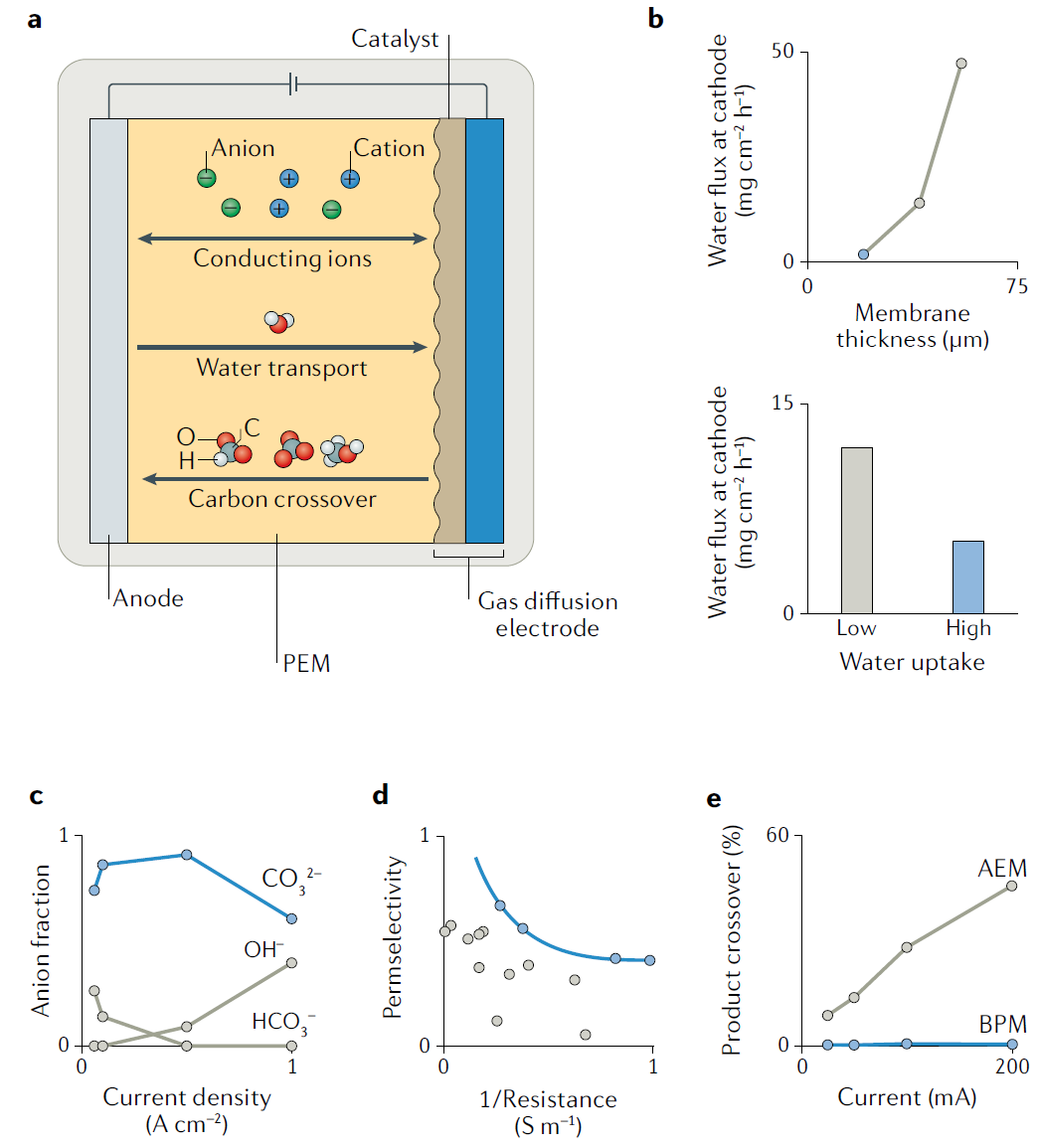 IF超過66，Nature Reviews Materials最新綜述：高效CO2RR電解槽該如何設(shè)計？