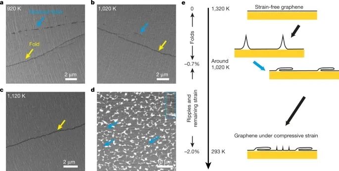 Nature：單晶、大面積、無褶皺單層石墨烯