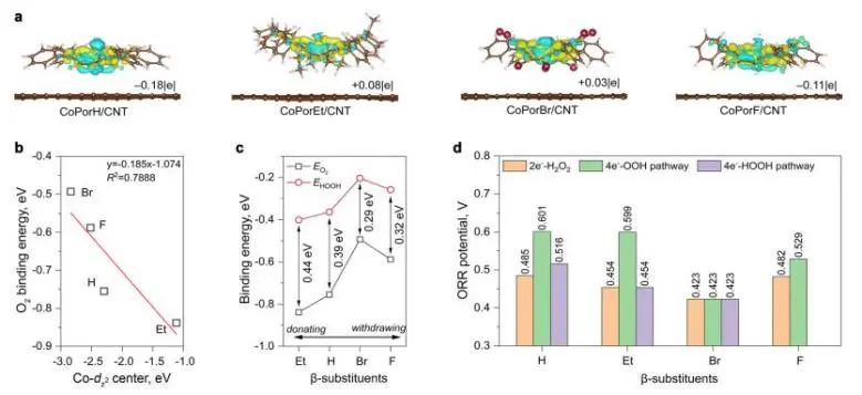 悉尼大學(xué)/日本東大EES：H2O2選擇性超90%! 多相分子Co-N-C催化劑實現(xiàn)高效電化學(xué)合成H2O2