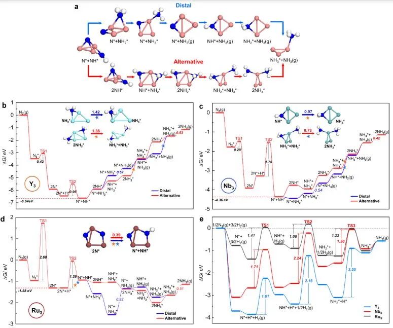 駱智訓(xùn)ACS Catalysis：利用理論計算系統(tǒng)研究三原子金屬簇對N2的吸附和解離行為