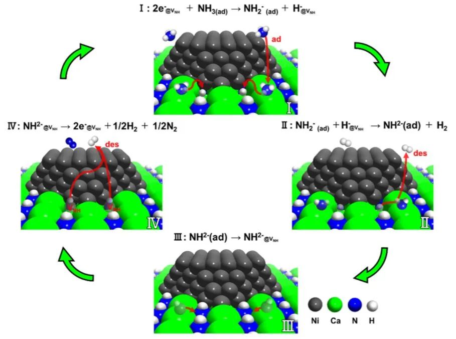 ACS Catalysis：Ni/CaNH催化劑通過(guò)NH2-介導(dǎo)的Mars-van Krevelen機(jī)制進(jìn)行高效氨分解